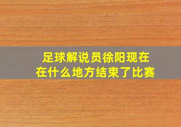 足球解说员徐阳现在在什么地方结束了比赛