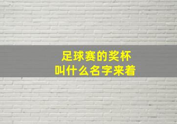 足球赛的奖杯叫什么名字来着