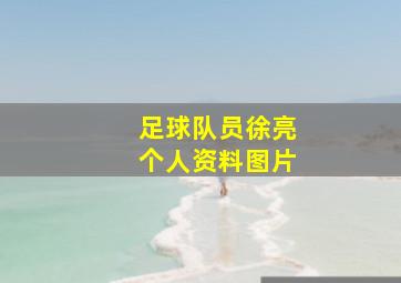 足球队员徐亮个人资料图片