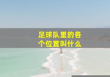 足球队里的各个位置叫什么