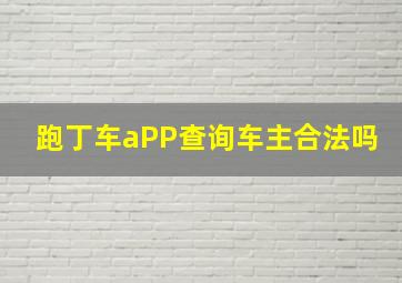 跑丁车aPP查询车主合法吗