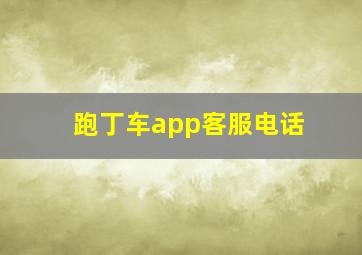 跑丁车app客服电话