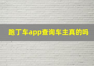 跑丁车app查询车主真的吗