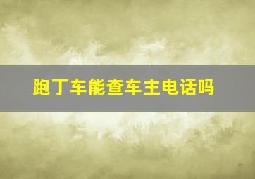 跑丁车能查车主电话吗