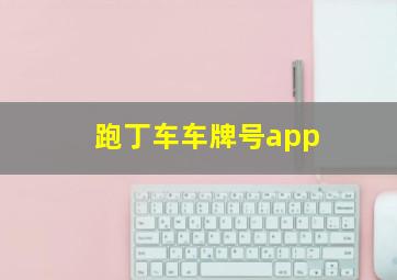 跑丁车车牌号app