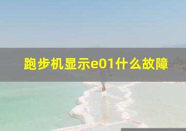 跑步机显示e01什么故障