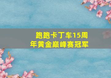 跑跑卡丁车15周年黄金巅峰赛冠军