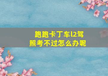 跑跑卡丁车l2驾照考不过怎么办呢