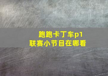 跑跑卡丁车p1联赛小节目在哪看