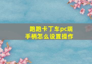 跑跑卡丁车pc端手柄怎么设置操作