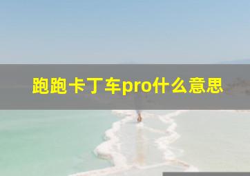 跑跑卡丁车pro什么意思