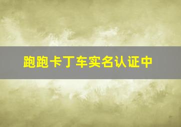 跑跑卡丁车实名认证中