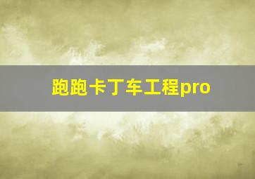 跑跑卡丁车工程pro