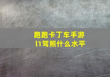 跑跑卡丁车手游l1驾照什么水平