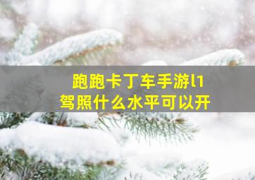 跑跑卡丁车手游l1驾照什么水平可以开