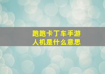 跑跑卡丁车手游人机是什么意思