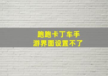 跑跑卡丁车手游界面设置不了