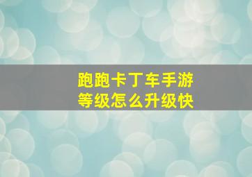 跑跑卡丁车手游等级怎么升级快