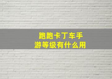 跑跑卡丁车手游等级有什么用