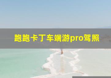 跑跑卡丁车端游pro驾照