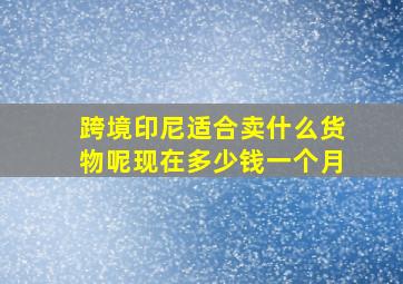 跨境印尼适合卖什么货物呢现在多少钱一个月