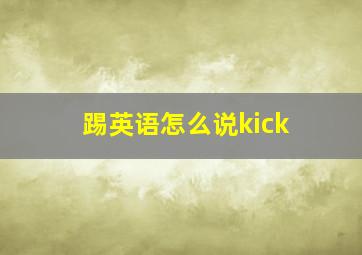 踢英语怎么说kick