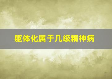 躯体化属于几级精神病