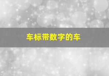 车标带数字的车