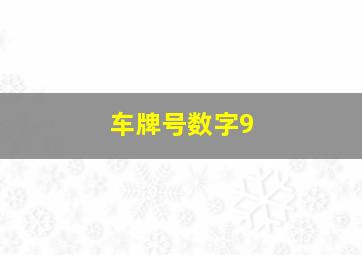 车牌号数字9