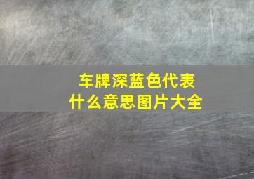 车牌深蓝色代表什么意思图片大全