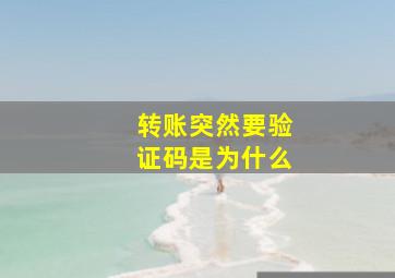 转账突然要验证码是为什么