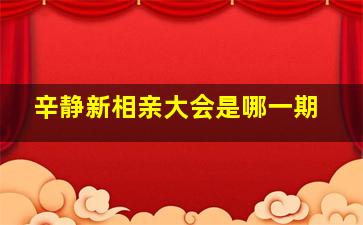 辛静新相亲大会是哪一期