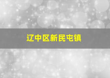 辽中区新民屯镇