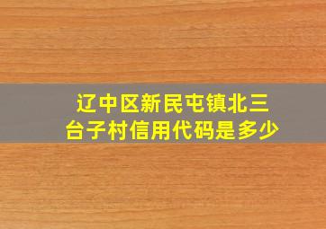 辽中区新民屯镇北三台子村信用代码是多少