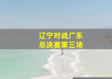 辽宁对战广东总决赛第三场