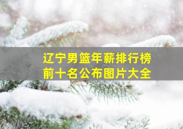 辽宁男篮年薪排行榜前十名公布图片大全