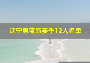 辽宁男篮新赛季12人名单