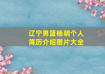 辽宁男篮杨明个人简历介绍图片大全