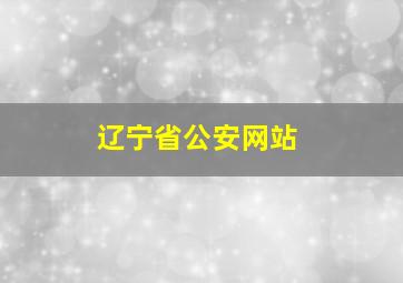 辽宁省公安网站