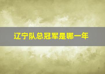 辽宁队总冠军是哪一年