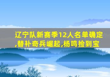 辽宁队新赛季12人名单确定,替补奇兵崛起,杨鸣捡到宝