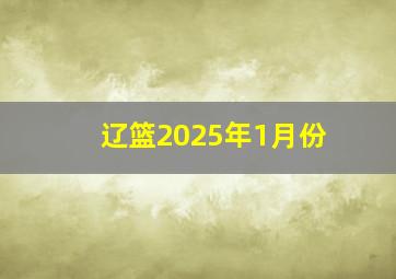 辽篮2025年1月份