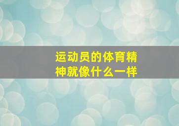 运动员的体育精神就像什么一样