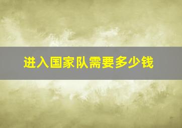 进入国家队需要多少钱