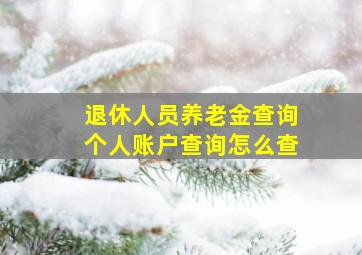 退休人员养老金查询个人账户查询怎么查