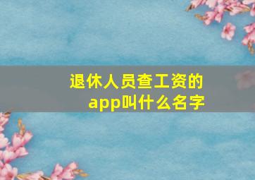 退休人员查工资的app叫什么名字