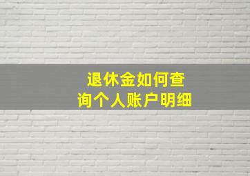 退休金如何查询个人账户明细