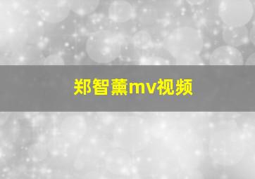 郑智薰mv视频