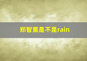 郑智薰是不是rain