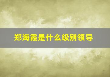 郑海霞是什么级别领导